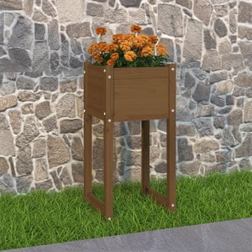 Vidaxl vidaXL Cvetlični lonec medeno rjave barve 40x40x81 cm masiven borov les