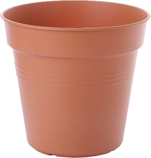 Elho Green Basics - blagi teran 17 cm
