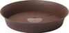 Tulipan v loncu ¤16cm rjave barve