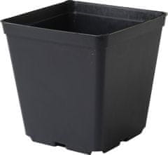 Cvetlični lonček - posoda, trda plastika 13x13x13 cm - 10 kosov