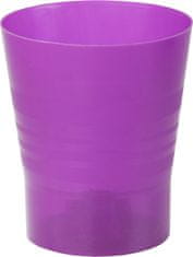 Plastkon ORCHID KAMELIE MAXI transparentna d15x18cm