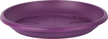 Skleda Similcotto polirana - vijolična 25