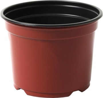 Cvetlični lonček - posoda Desch 9 cm - terakota / črna - 10 kosov
