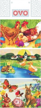 OVO MAJICE S TRADICIONALNIM KRČENJEM