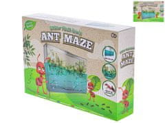 Mikro Trading Komplet Grow&decorate Labirint mravelj, v plastični škatli