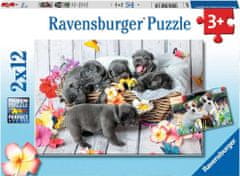 Ravensburger Ljubki kužki Puzzle 2x12 kosov