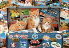 Educa Puzzle Potujoče mačke 200 kosov