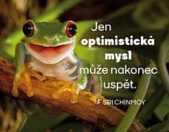 Magnet na hladilniku "Le optimističen um lahko na koncu uspe"