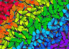 ENJOY Mavrični metulji Puzzle 1000 kosov