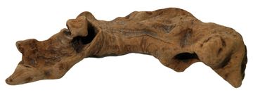 Lucky Reptile Opuwa Wood približno 10-30 cm