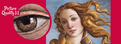 Cherry Pazzi Puzzle Face of Venus 1000 kosov