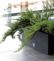 Kaxl Samozalivalni cvetlični lonec-box 17l RATO CASE Barva: Antracit DRTC500-S433