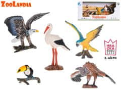 Komplet ptic Zoolandia