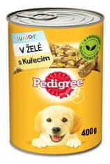 Pedigree piščanec v pločevinki Junior v želeju 400g