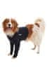 Zaščitna obleka Body&amp;Front Legs 64cm XXL