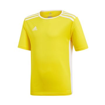 Adidas Majice obutev za trening rumena JR Entrada 18