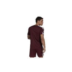 Adidas Majice obutev za trening bordo rdeča S Squadra 21