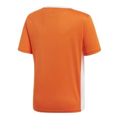 Adidas Majice obutev za trening oranžna XL Entrada 18