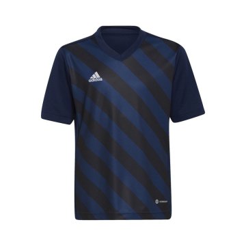 Adidas Majice obutev za trening Entrada 22 Graphic Jersey