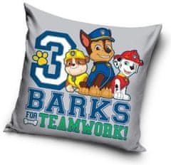Nickelodeon BLAZINA Tačke na patrulji - Barks for teamwork!