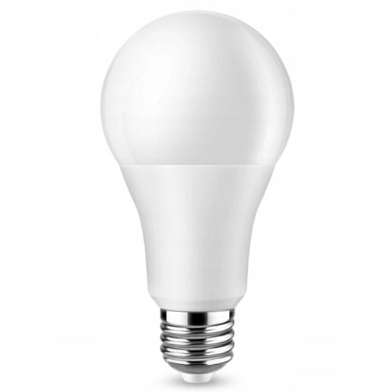 Berge LED žarnica - E27 - A80 - 20W - 1800Lm - hladno bela