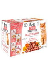 Brit Care Cat Fillets Gravy Flavour škatla 4*3psc (12*85g)