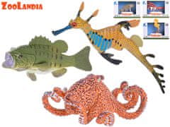 Morske živali Zoolandia