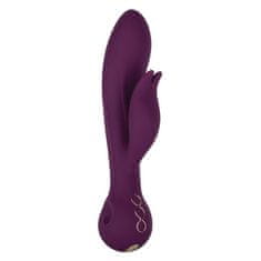 California Ex Novel Vibrator "Obsession Desire" (R14837)