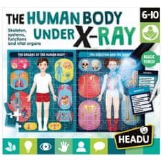 Headu HEADU: Človeško telo pod rentgenskimi žarki