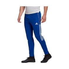 Adidas Hlače modra 188 - 193 cm/XXL Tiro 21