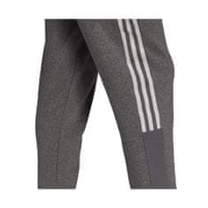 Adidas Hlače siva 188 - 193 cm/XXL Tiro 21 Sweat