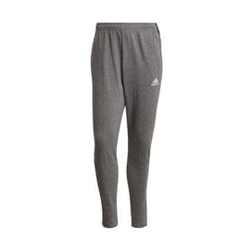 Adidas Hlače siva Tiro 21 Sweat