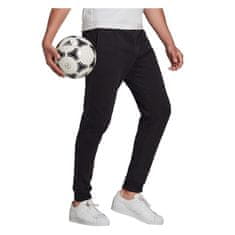 Adidas Hlače črna 188 - 193 cm/XXL Entrada 22