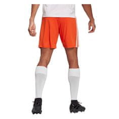 Adidas Hlače obutev za trening rdeča 182 - 187 cm/XL Squadra 21
