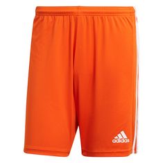 Adidas Hlače obutev za trening rdeča 182 - 187 cm/XL Squadra 21