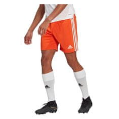 Adidas Hlače obutev za trening rdeča 182 - 187 cm/XL Squadra 21
