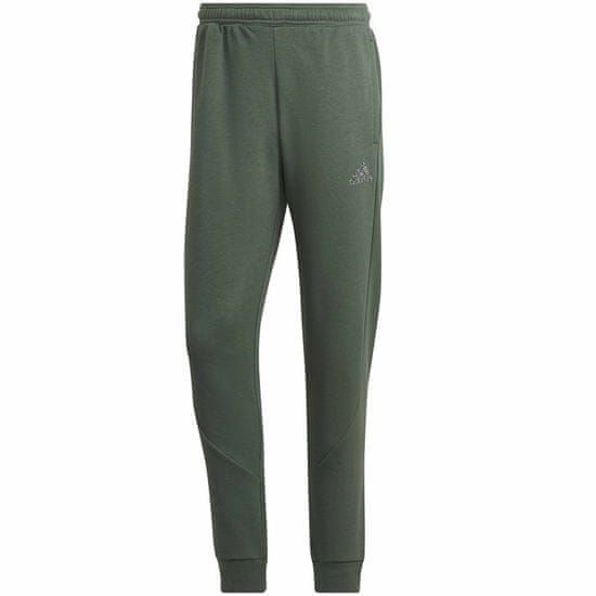 Adidas Hlače obutev za trening zelena M FL Recbos PT1