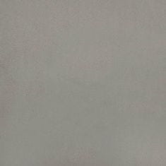 Vidaxl Box spring postelja z vzmetnico svetlo siva 200x200 cm žamet