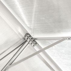 nabbi Vrtni rastlinjak Glasshouse 190x190x195 cm - prozoren