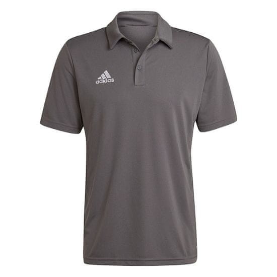 Adidas Majice siva Entrada 22