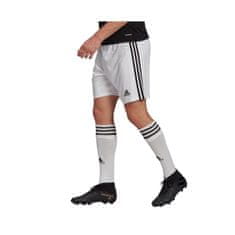 Adidas Hlače obutev za trening bela 170 - 175 cm/M Squadra 21