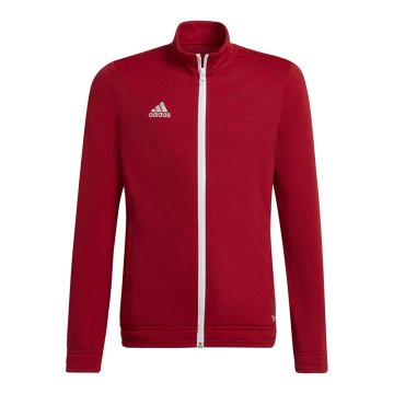 Adidas Športni pulover Entrada 22 Track