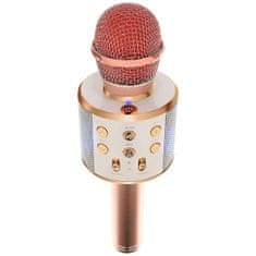 Forever BMS-300 Mikrofon & Zvočnik, Bluetooth, USB, microSD, AUX-in