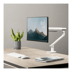 Ergo Office Nosilec za monitor ER-437 17" do 32"