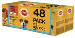 Pedigree Vital Protection žepki mesa v želeju za odrasle pse, 48 x 100 g