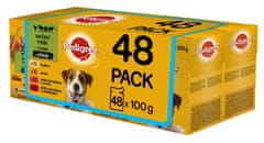 Pedigree Vital Protection vrečke za izbiro mesa z zelenjavo v soku za odrasle pse 48 x 100g