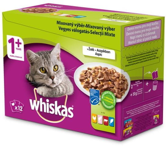 Whiskas hrana za mačke, mešana izbira v želeju, 48 pack