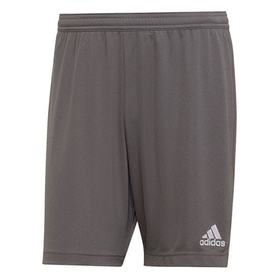Adidas Hlače siva Entrada 22
