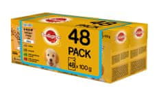 Pedigree hrana za mlade pse multipaket 4 x (12 x 100g)