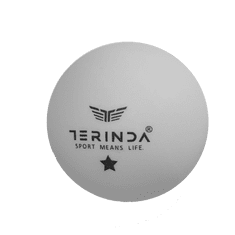 TERINDA Žogice za namizni tenis 60 kom